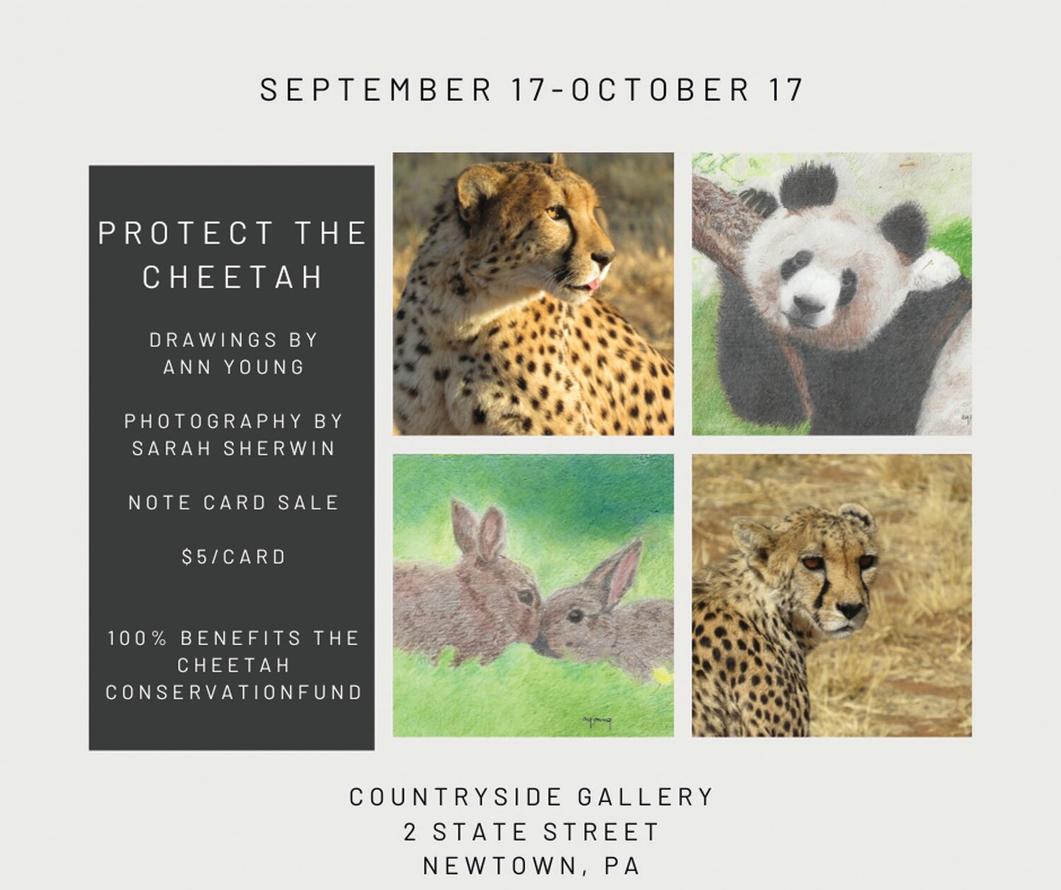 Note cards will be sold at Countryside Gallery to benefit the Cheetah Conservation Fund.