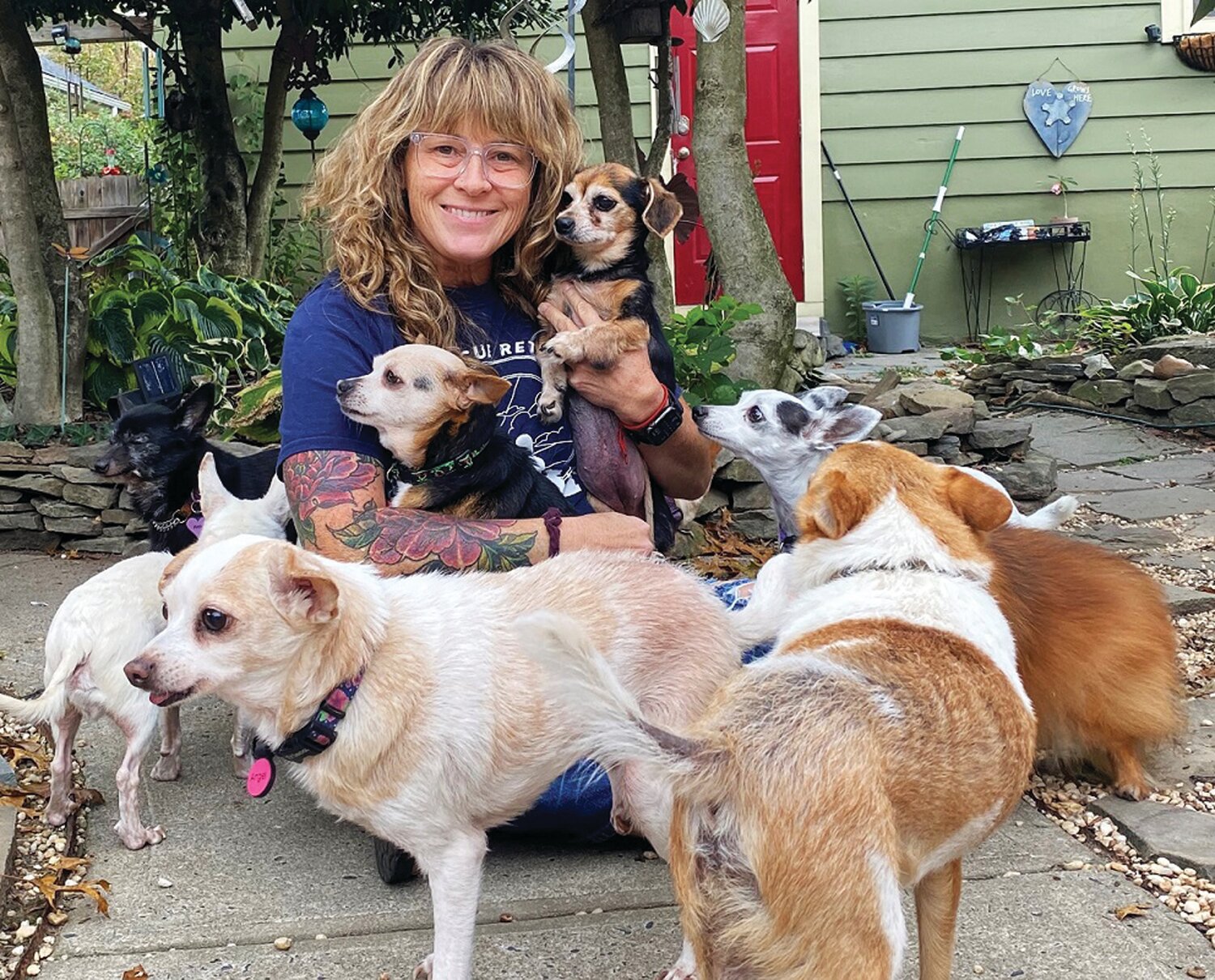 “Fixer-uppers,” rescued senior dogs, live out their golden years in comfort at Happy Tails Rescue Retirement Home in Morrisville, run by Stacey Herrick.