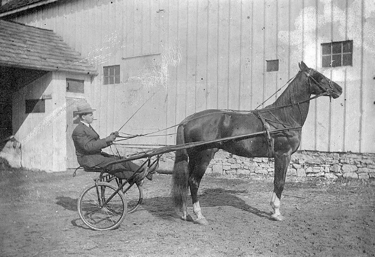 Photo of Easter Boy, as driven by Harry Leedom, circa 1915 at the White Hall Hotel stables on State Street.
