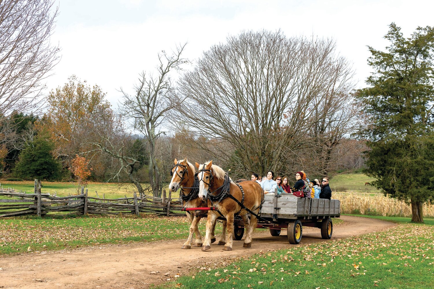 Horses pull a wagon of visitors at Howell Living History Farm on Nov. 4.