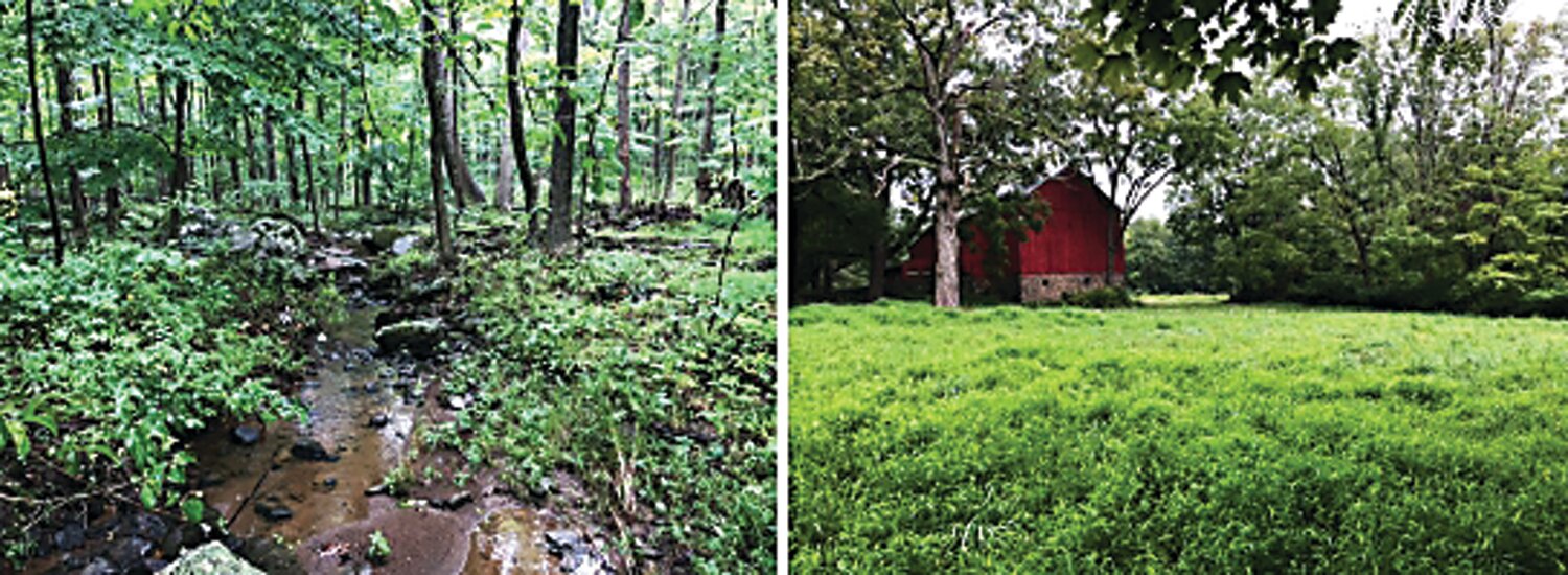 Heritage Conservancy’s establishment of a conservation easement on the Corn Property in Richland will create a critical addition and buffer for Quakertown Swamp’s wildlife habitat and wetlands that also help mitigate local flooding and water pollution.