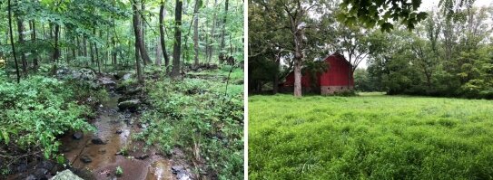 Heritage Conservancy’s establishment of a conservation easement on the Corn Property in Richland will create a critical addition and buffer for Quakertown Swamp’s wildlife habitat and wetlands that also help mitigate local flooding and water pollution.