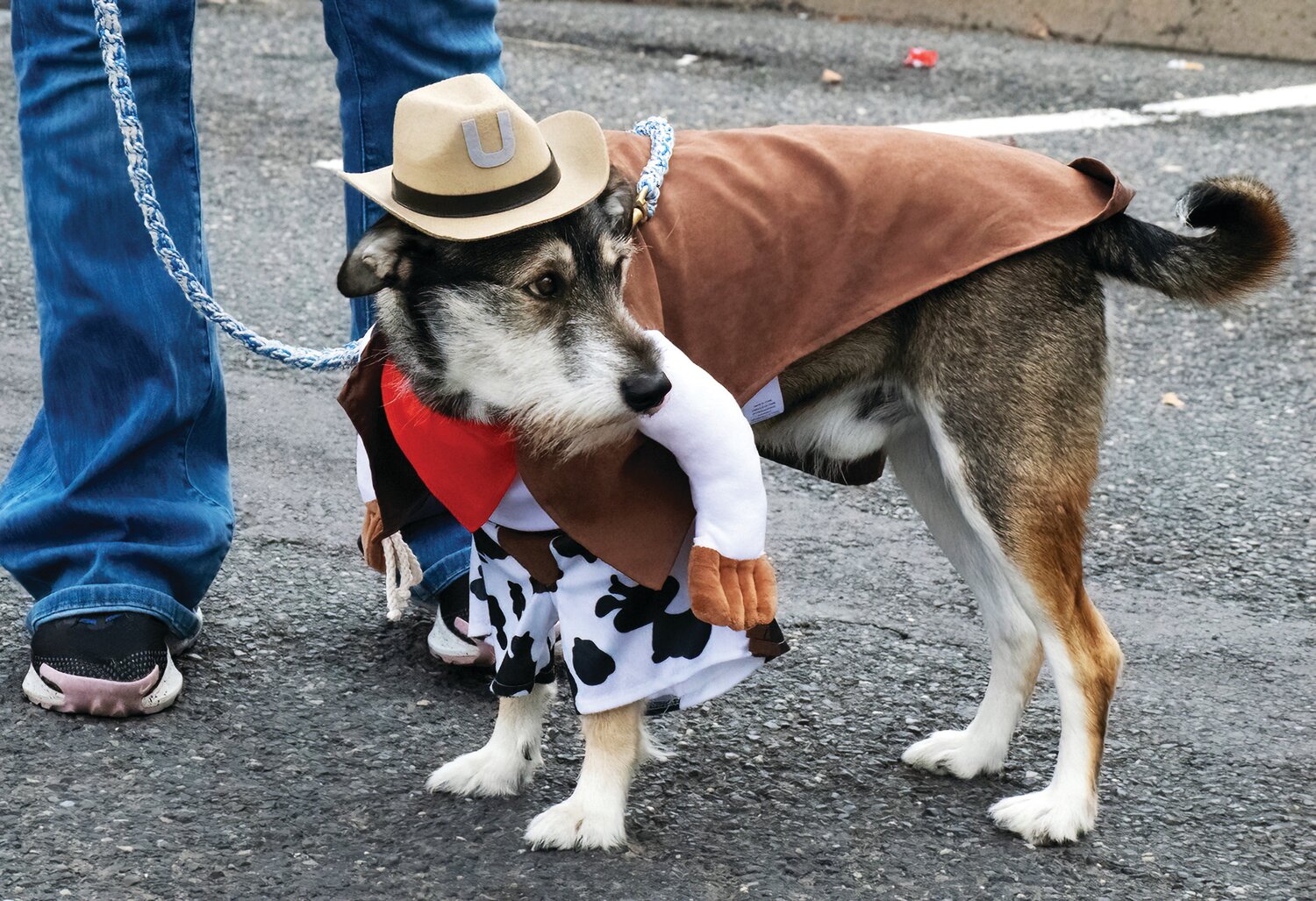 Dexter dressed as a Cowboy.