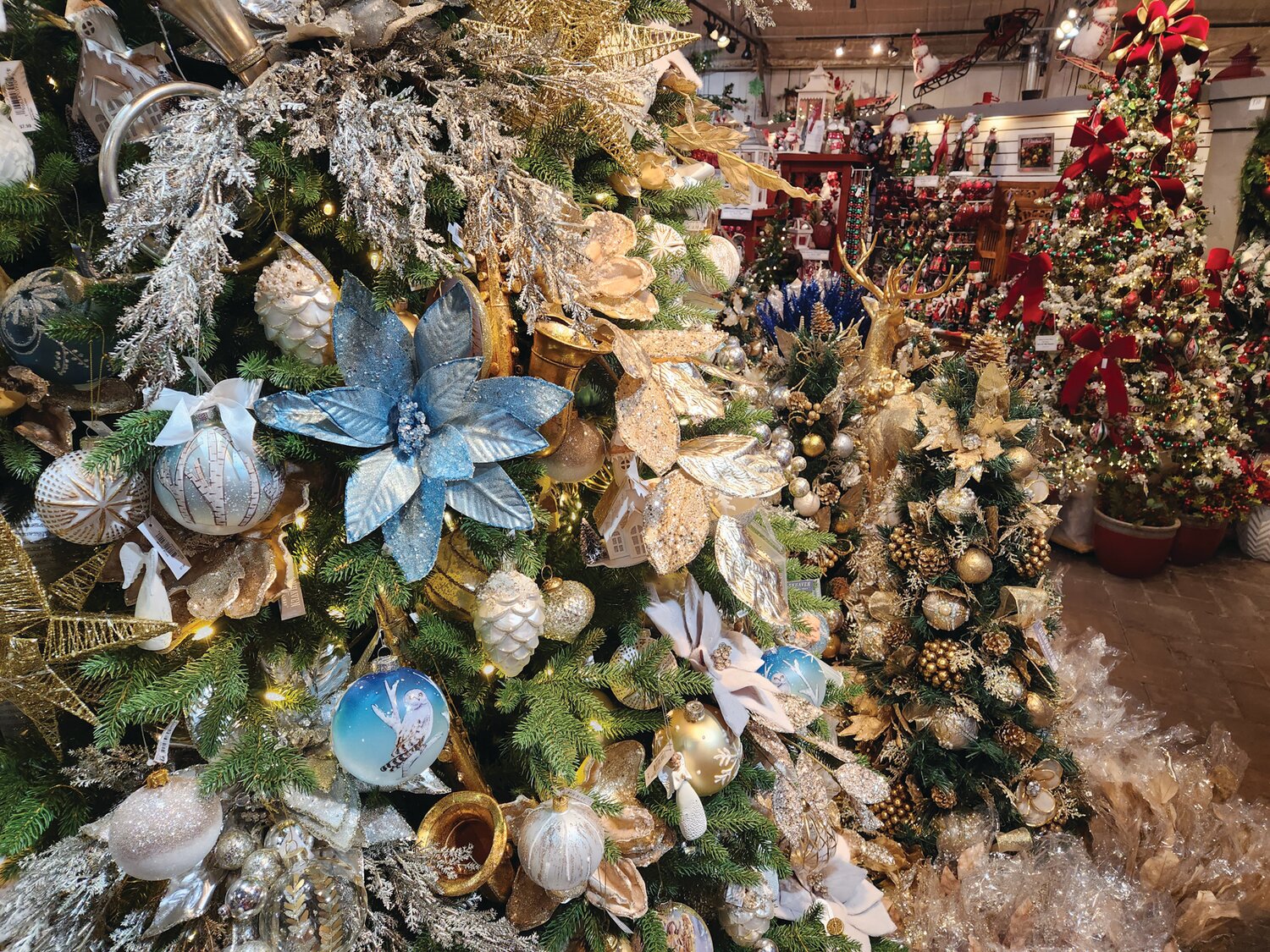 Gasper Home & Garden Showplace in Richboro, and its Exterior Furnishings Studio in Furlong host a weekend of holiday events.