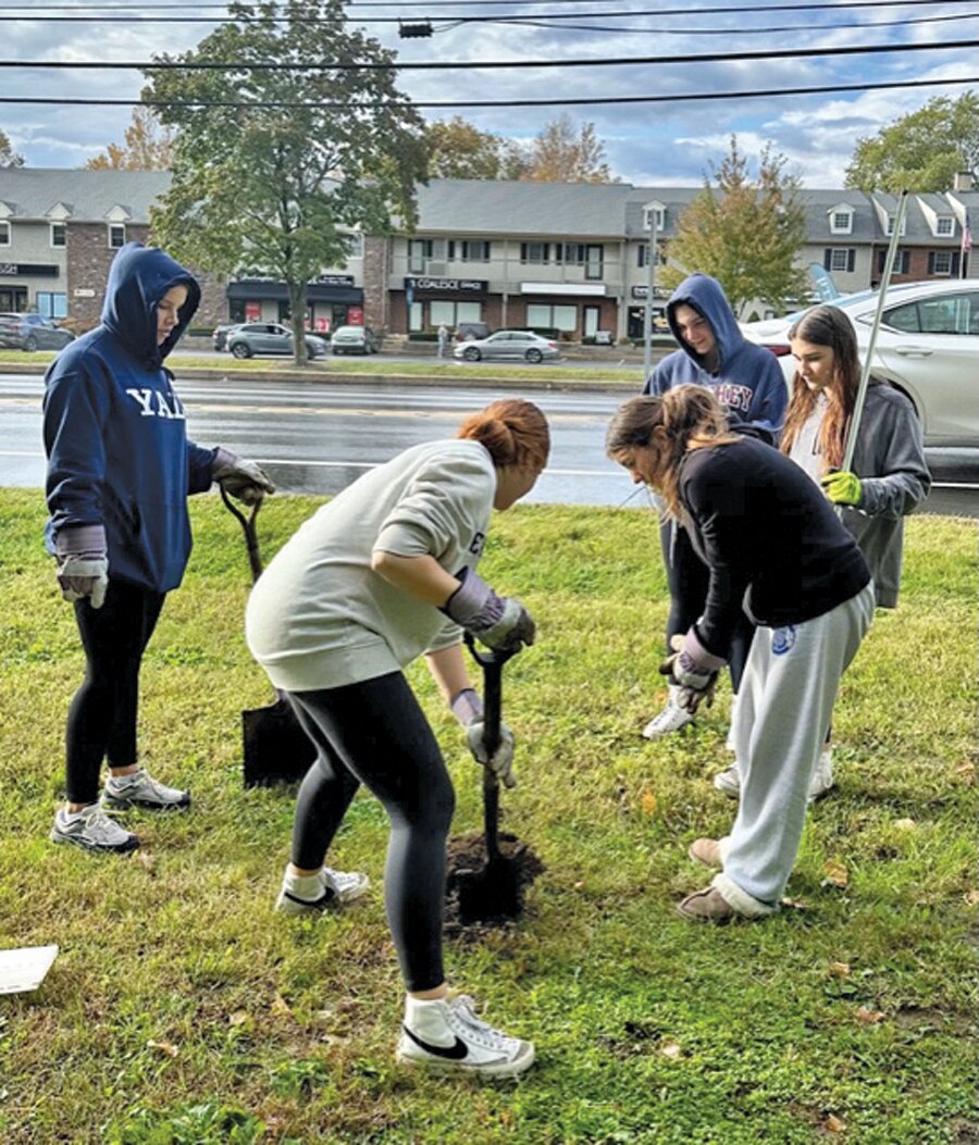 Volunteers plan a tree at an Oct. 17 event organized by Buckingham Township’s Environmental Advisory Commission.