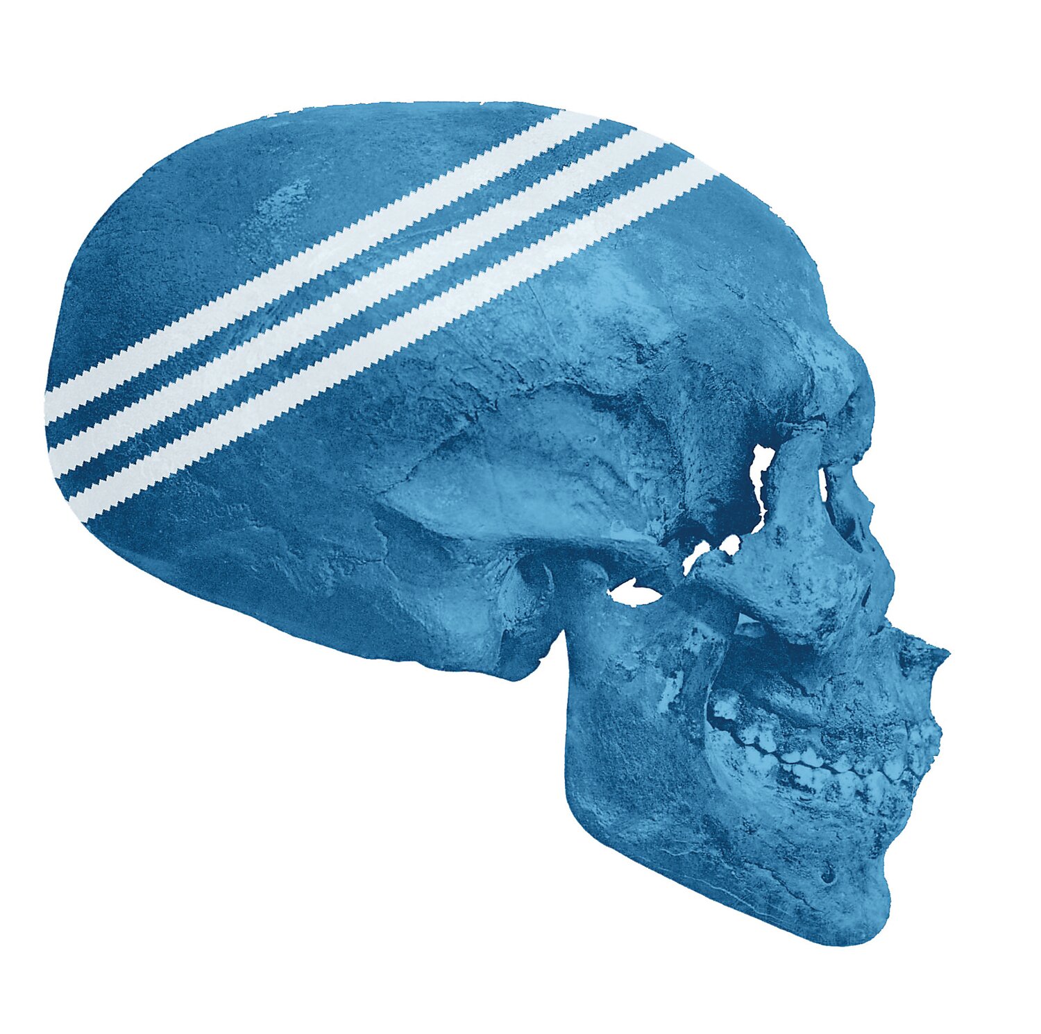“Avtomat, Death Buy Adidas,” is a digital print on acrylic, dimensions variable, 2010.
