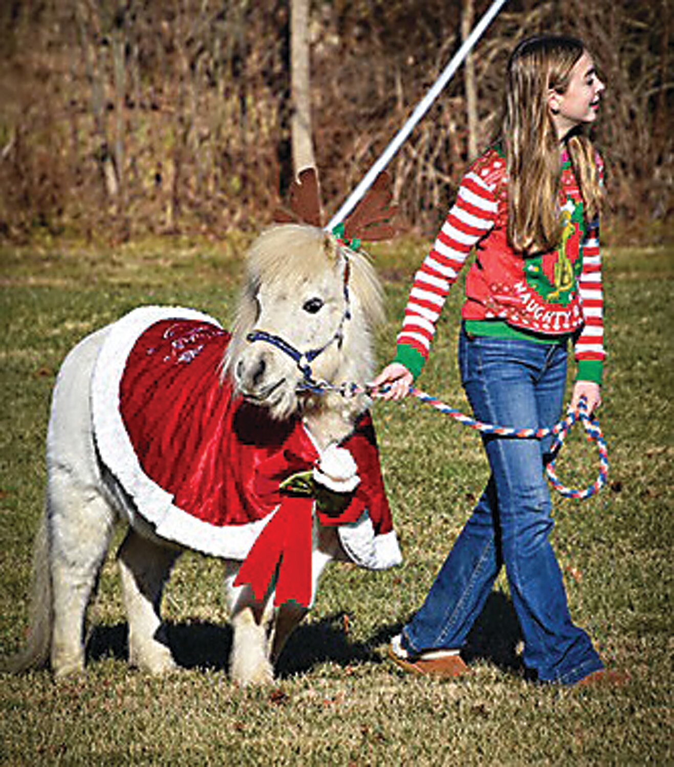 A miniature horse wearing reindeer antlers assists in the search for candy canes at Springtown Rod & Gun Club.