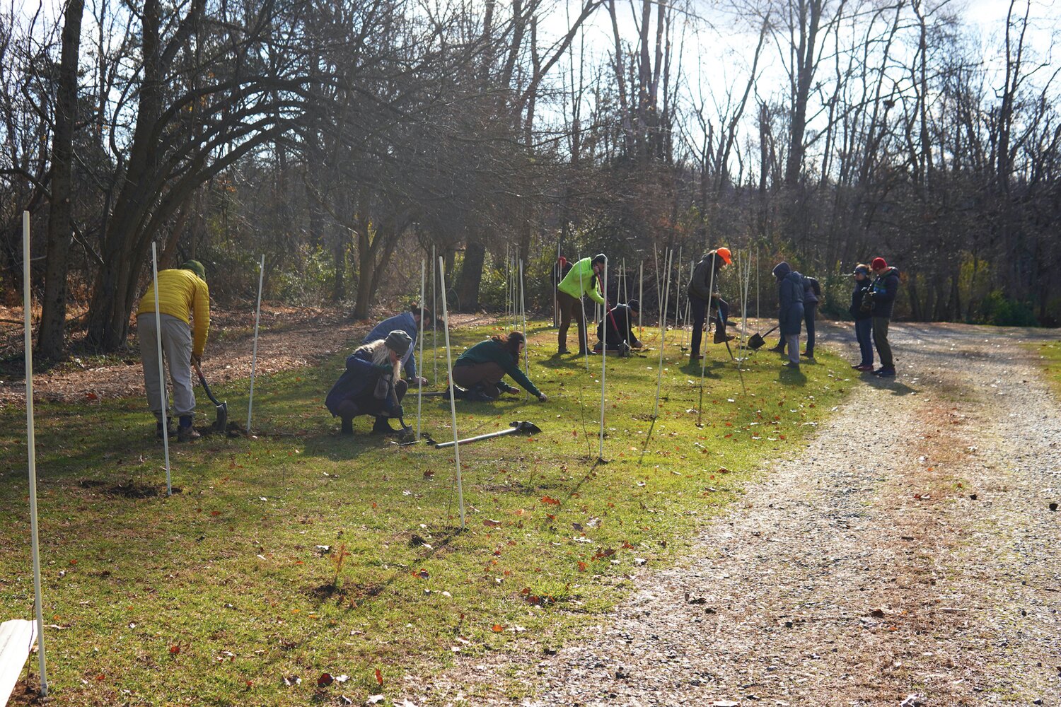 Volunteers plant 100 native trees and shrubs along a new section of the Lambertville Nature Trail.