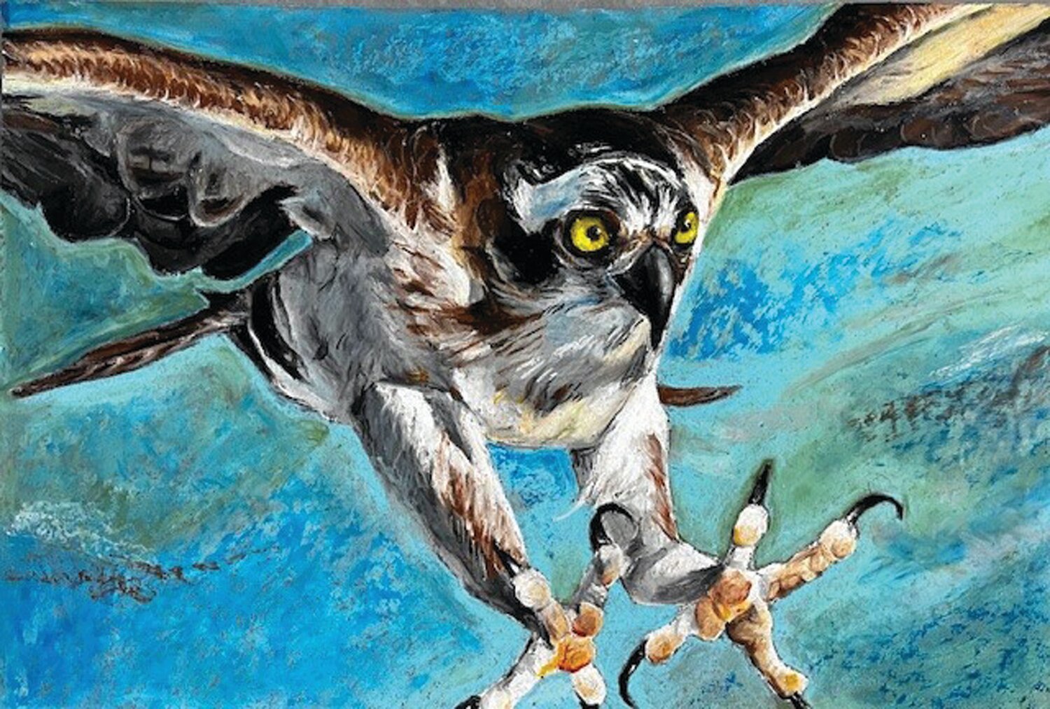 “Osprey” is a work in oil pastels by Neshaminy student Olivia Phelan.