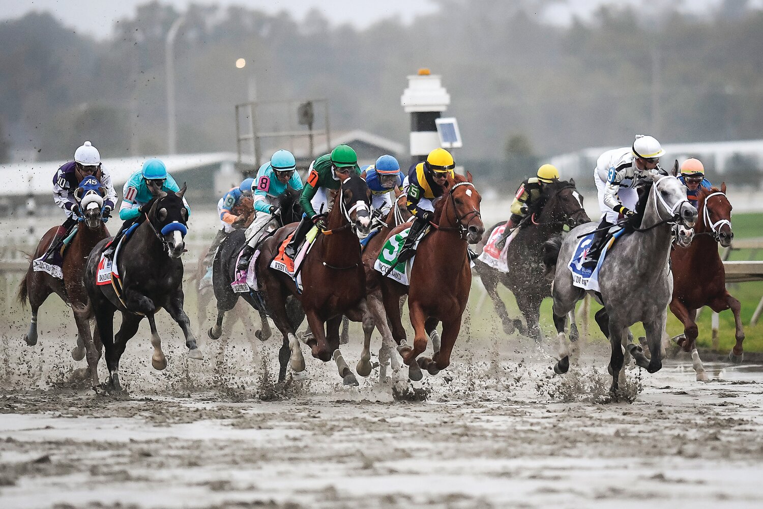 The opening stretch of the Pennsylvania Derby at Parx Racing in Bensalem Sept. 28. The race was won by Saudi Crown, ridden by jockey Florent Geroux. The 3-year-old ran 1 1/8 miles in 1:50.62 on a sloppy track, to capture the $1 million prize. As remnants of Ophelia blanketed the area, it was Jessica Paquette who also took Pennsylvania’s biggest horse racing day by storm, becoming the first female announcer to call a grade 1 stakes.