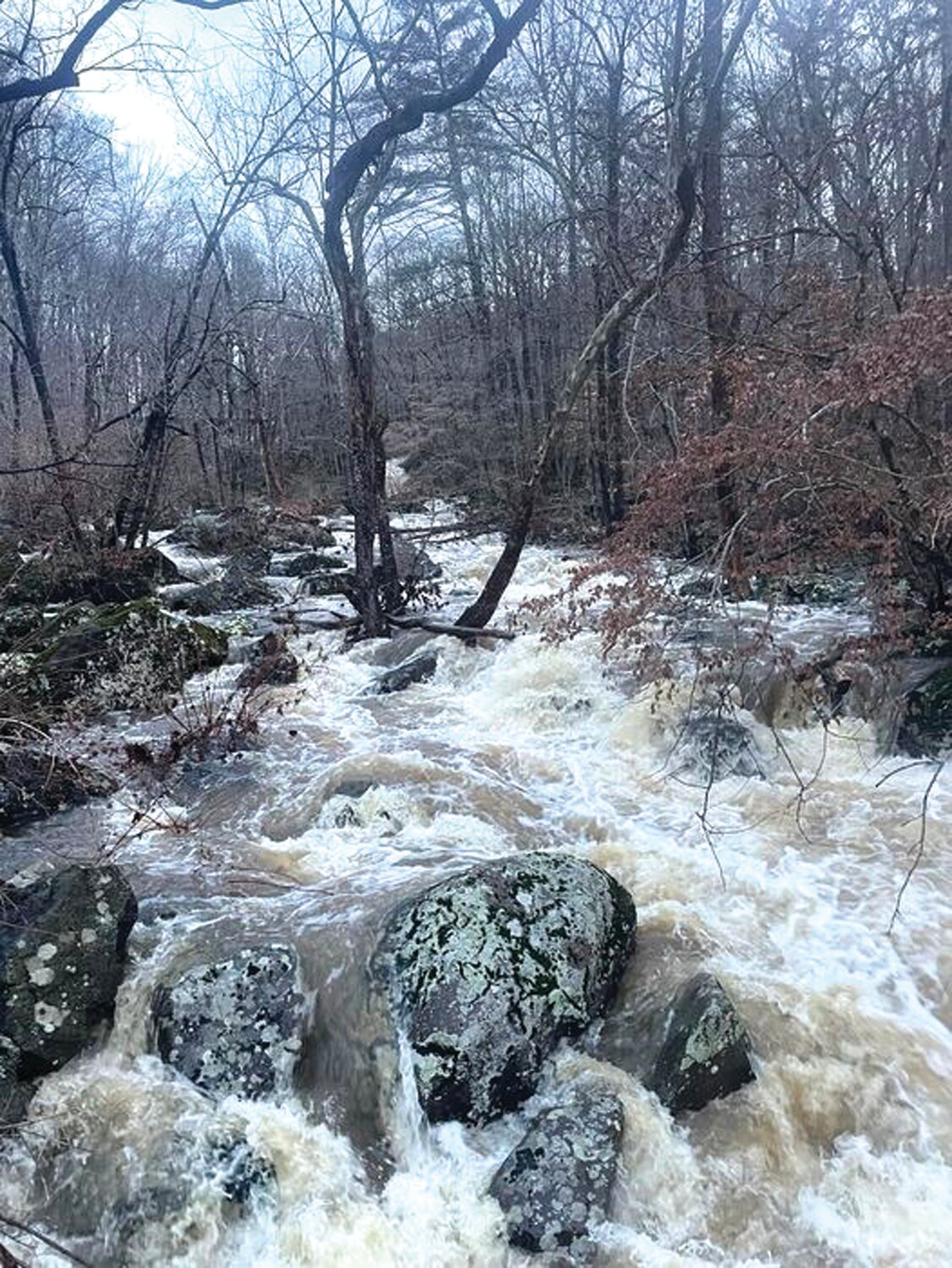 Tuesday’s powerful storm flooded Beaver Run Creek in Ottsville.