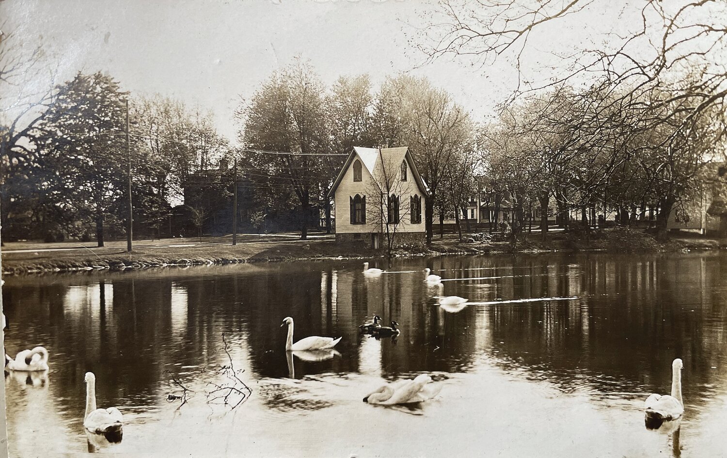 In 1911, swans, not ducks, were the favorite waterfowl in Lake Afton.