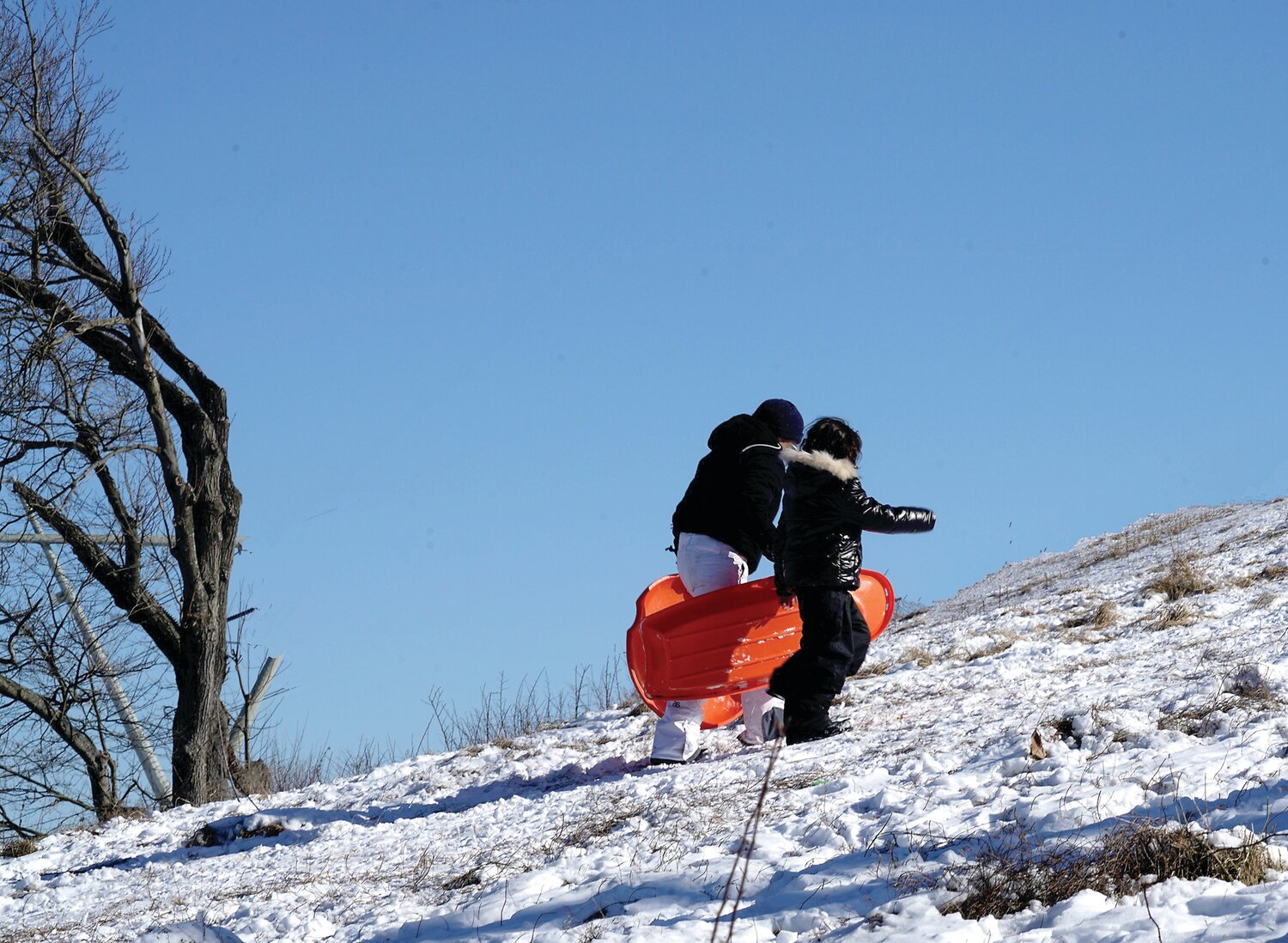 Sledders climb the hill at Magill’s Hill Park in Solebury on Jan. 21.