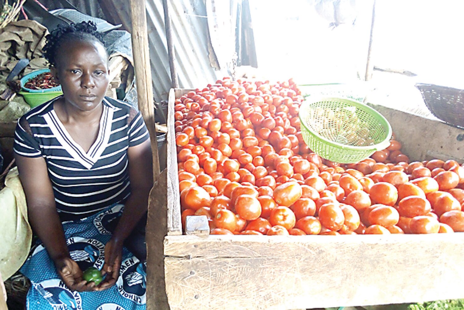 Evaline Achieng is a micro-loan recipient with seven dependents in Kenya.