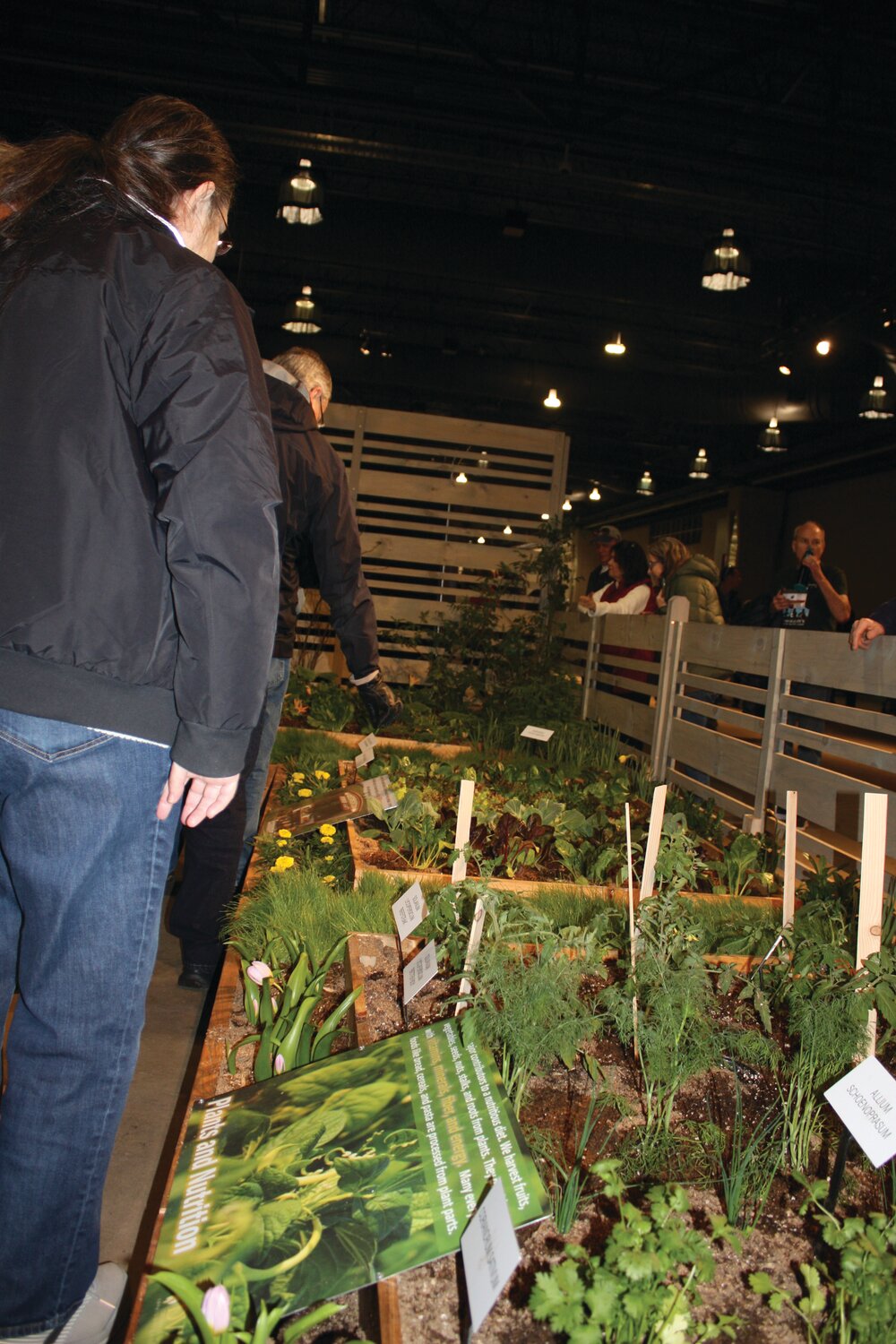 Flower show attendees look at plant beds created by Delaware Valley University for its exhibit, “Lettuce Turnip the Beet: The Gritty Value of Plants.”