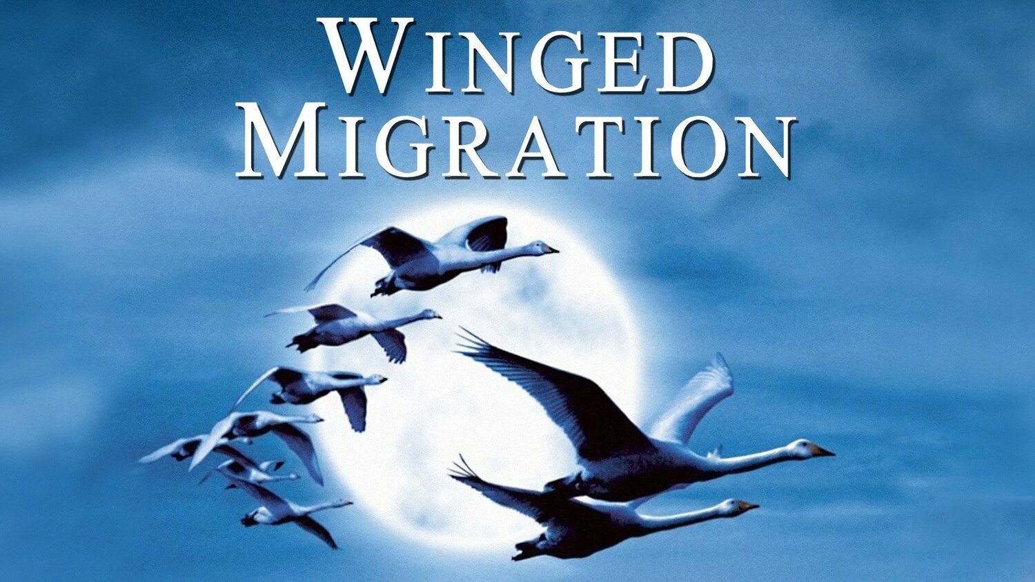 “Winged Migration”