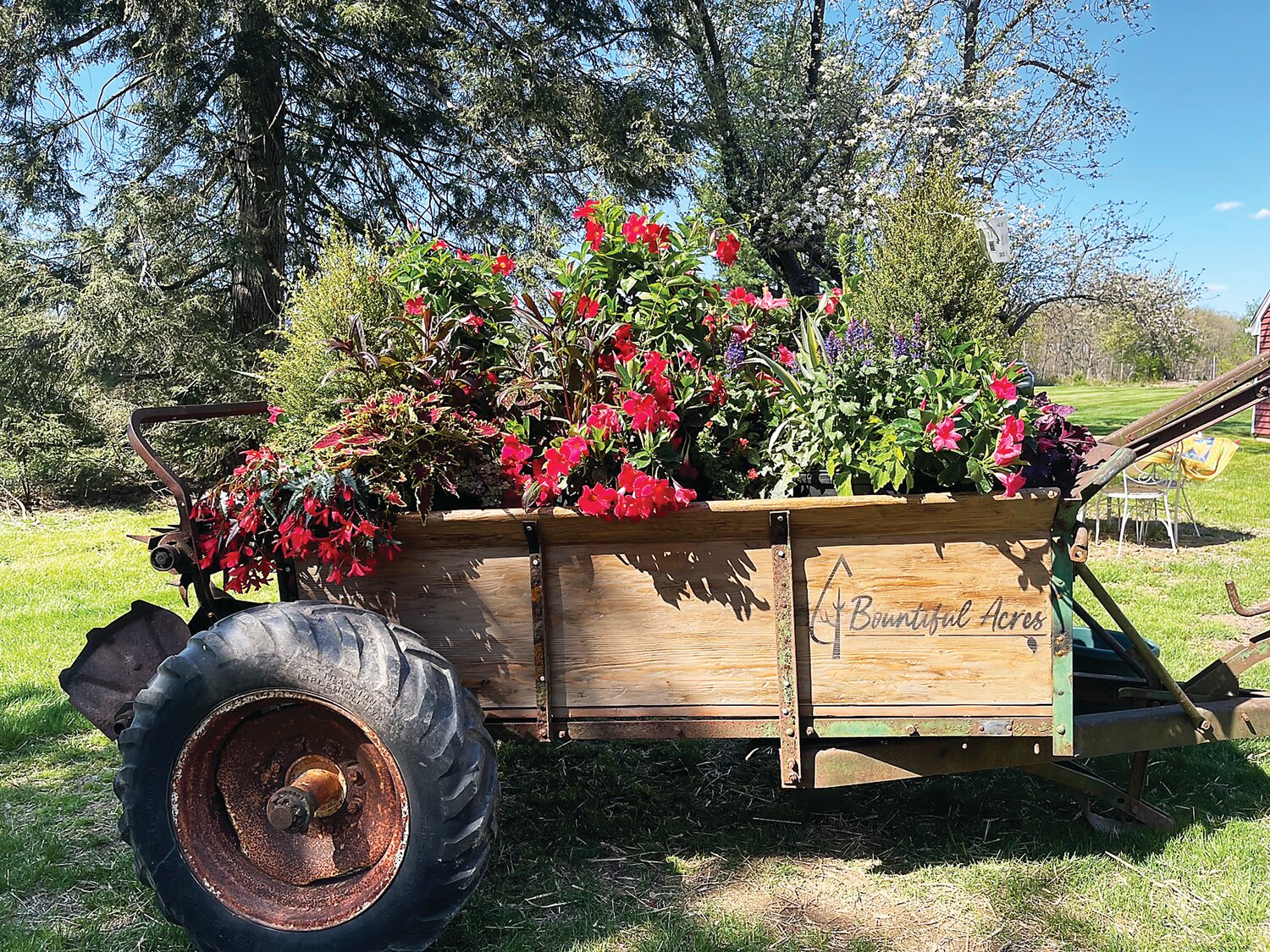 A spreader from the 1950s has been re-purposed as a large planter at Sycamore Lane