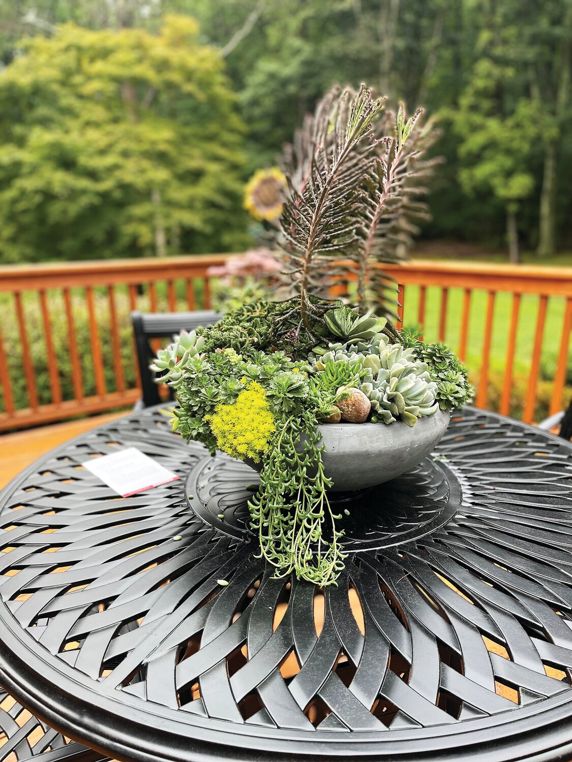 Succulents in containers add to the beauty of the deck of the Designer House.