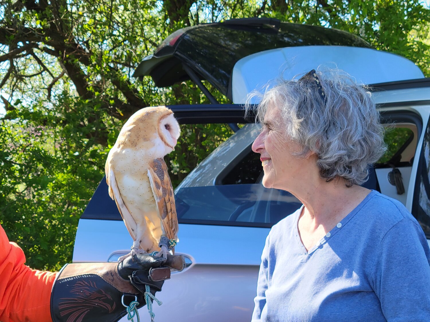 Jeanne Bray, LMT Bird Town Chair, locks eyes with a curious barn owl.