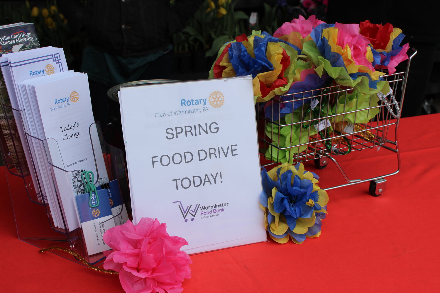 Children and adults who donated to the spring food drive were treated to spring flowers courtesy of Warminster Rotary.