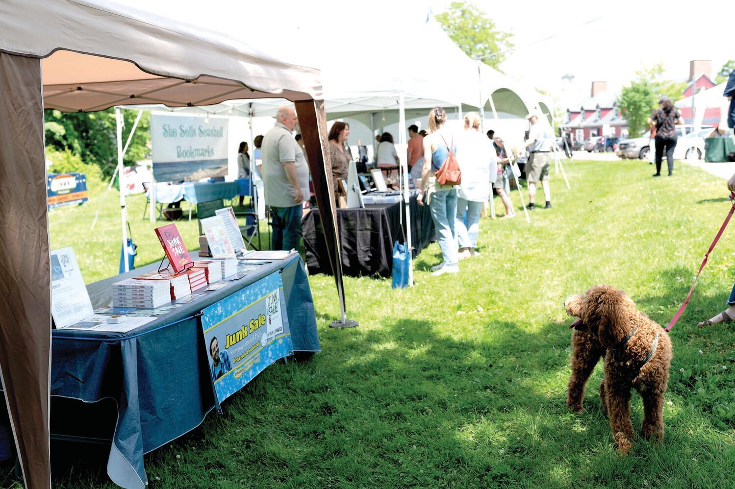 Customers shop for books during a past Flemington Summer Book Fest, which returns to the Hunterdon County town this weekend.