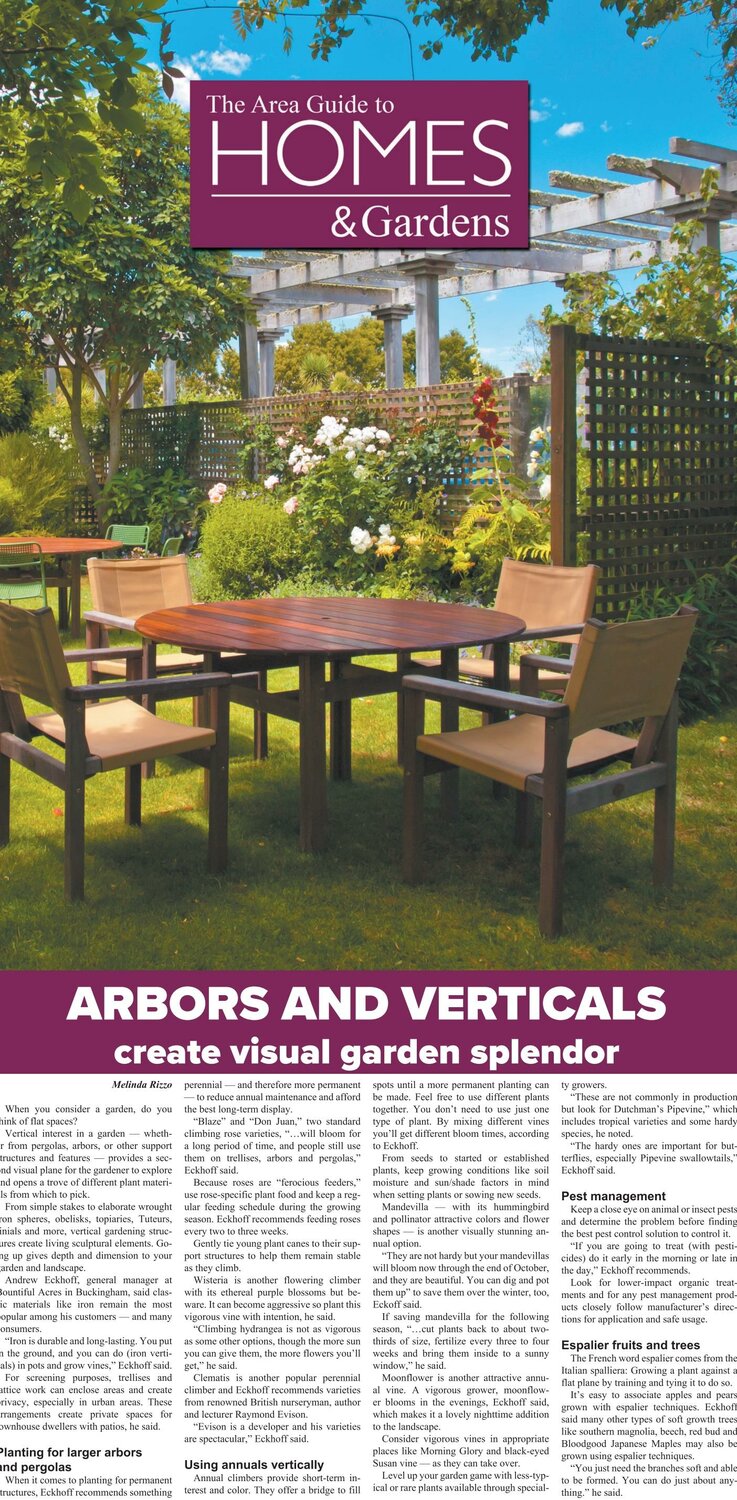 Area Guide to Homes & Gardens: June 20, 2024