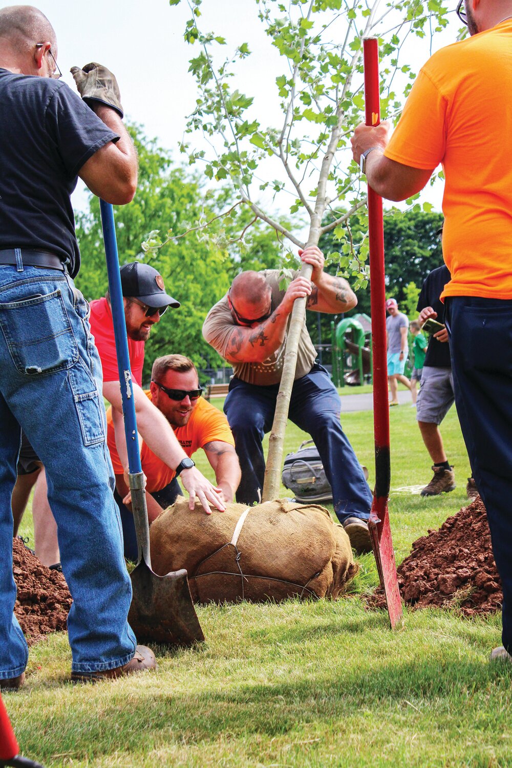 Volunteers plant a tree.