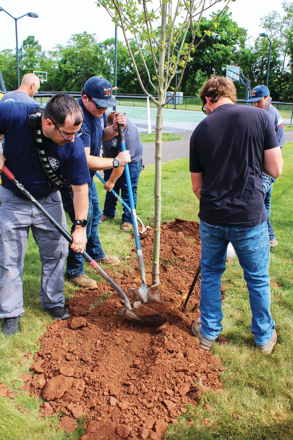 Volunteers finish planting a tree in Hilltown Civic Park.