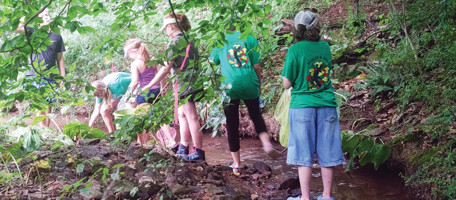 Members of Scales N Tails search for salamanders in the stream.