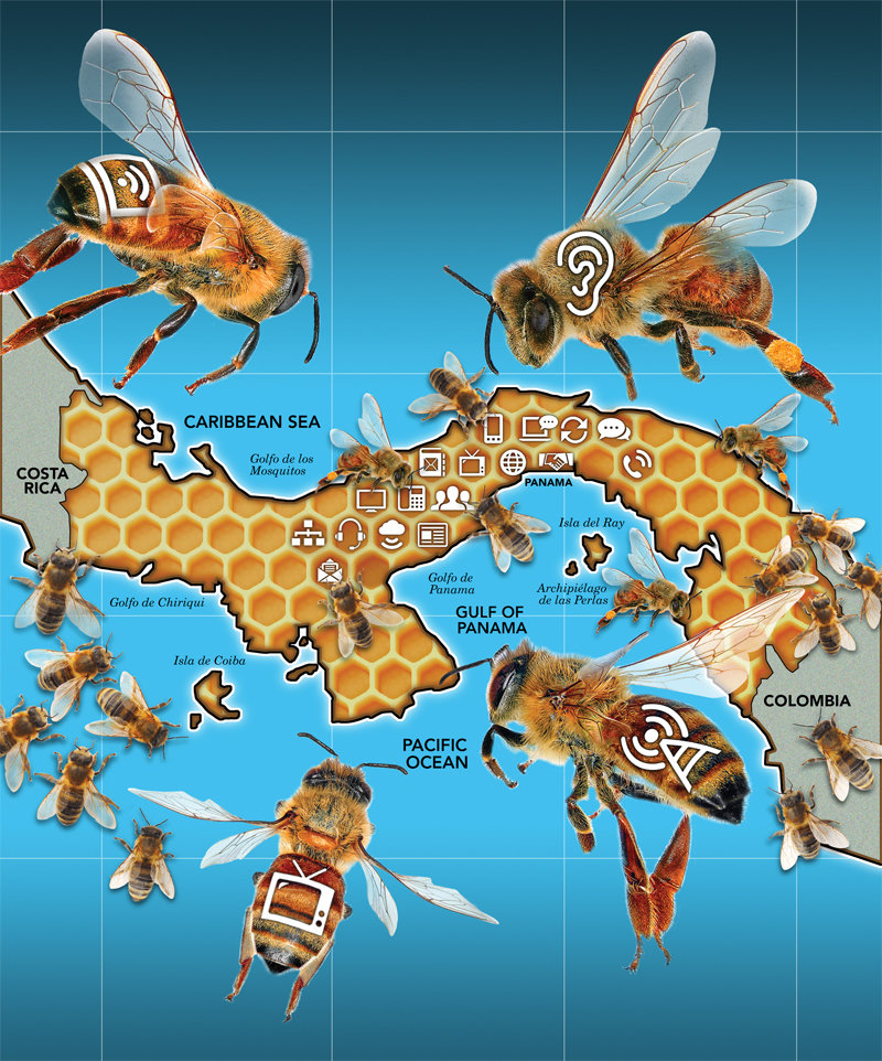 Illustration by Tony O. Champagne