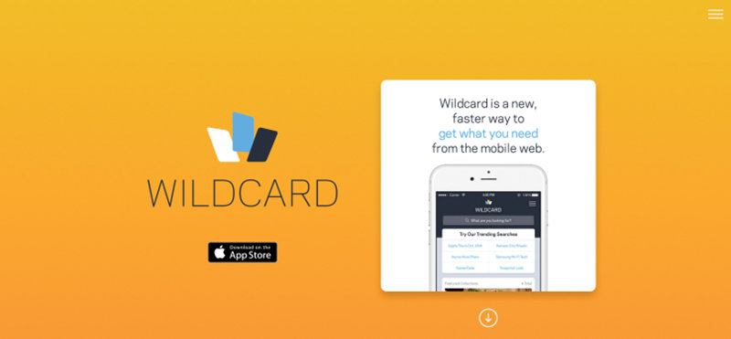 Wildcard