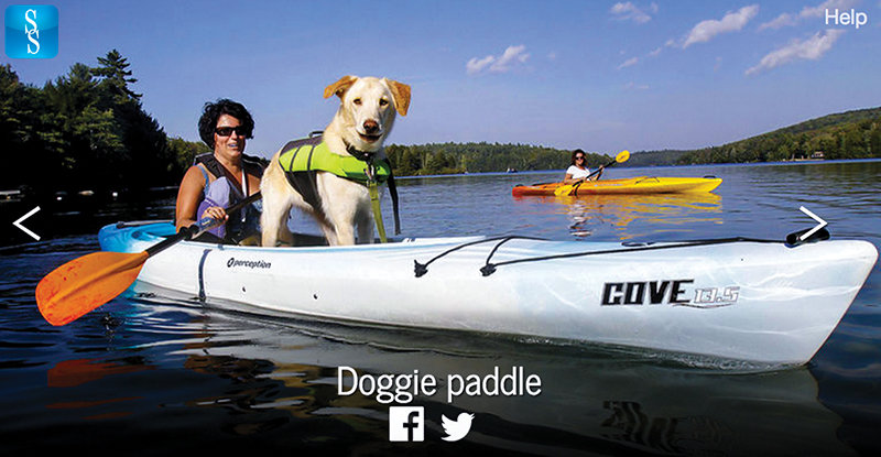 Look Ahead: Increasing Visibility