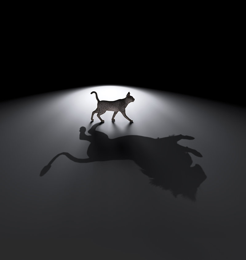 Business of News: Experience Inexperience