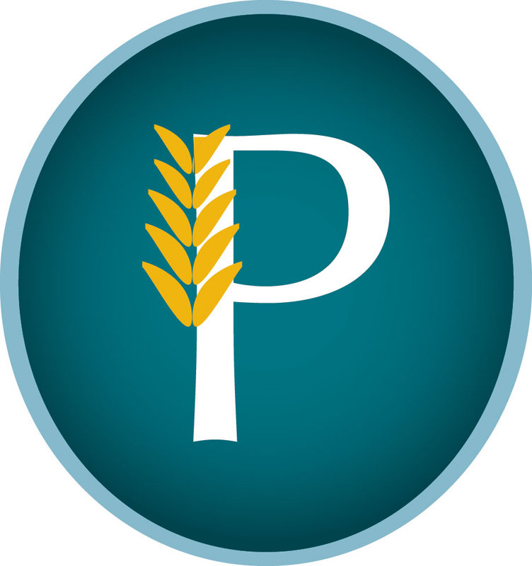 Political News Site Aims to Engage Young Adults