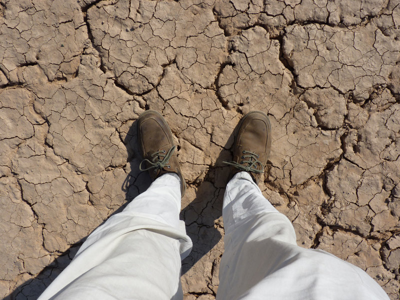 Journalist Embarks on 7-Year Walk