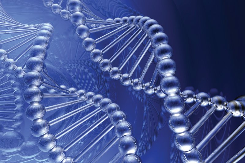 Newspapers Need a DNA Transplant