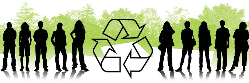 Newspaper Trailblazers See the Forest for the Trees