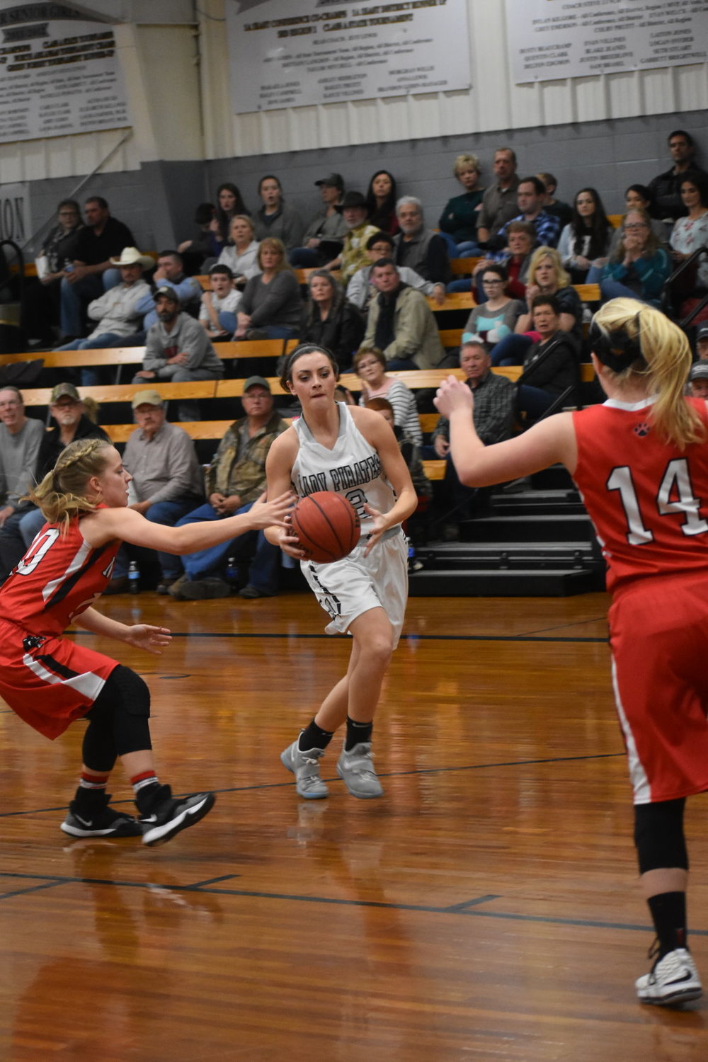 Western Grove vs. Jasper basketball Harrison Daily