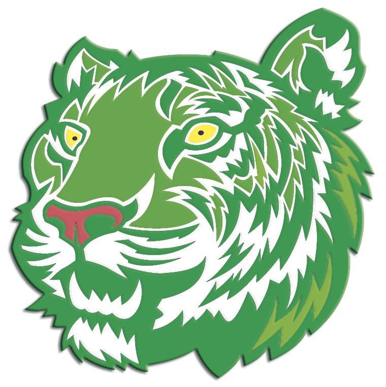 Valley Springs basketball vs. Mtn. View Harrison Daily