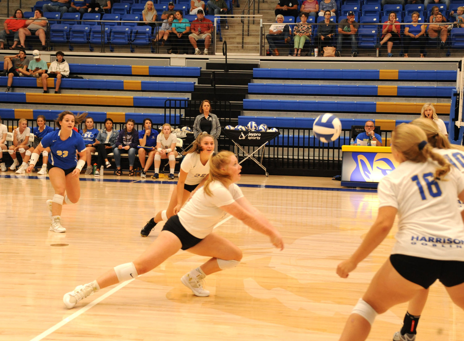 Harrison volleyball rebounds against SS Harrison Daily