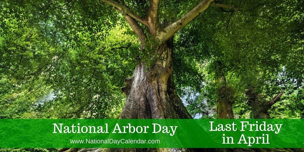 Celebrate National Arbor Day by planting trees receive 10 free trees