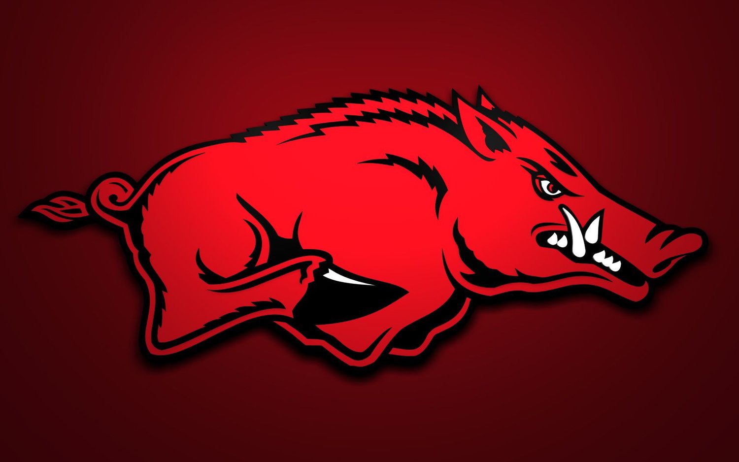 Amid altercations, Hogs finish spring practice | Harrison Daily