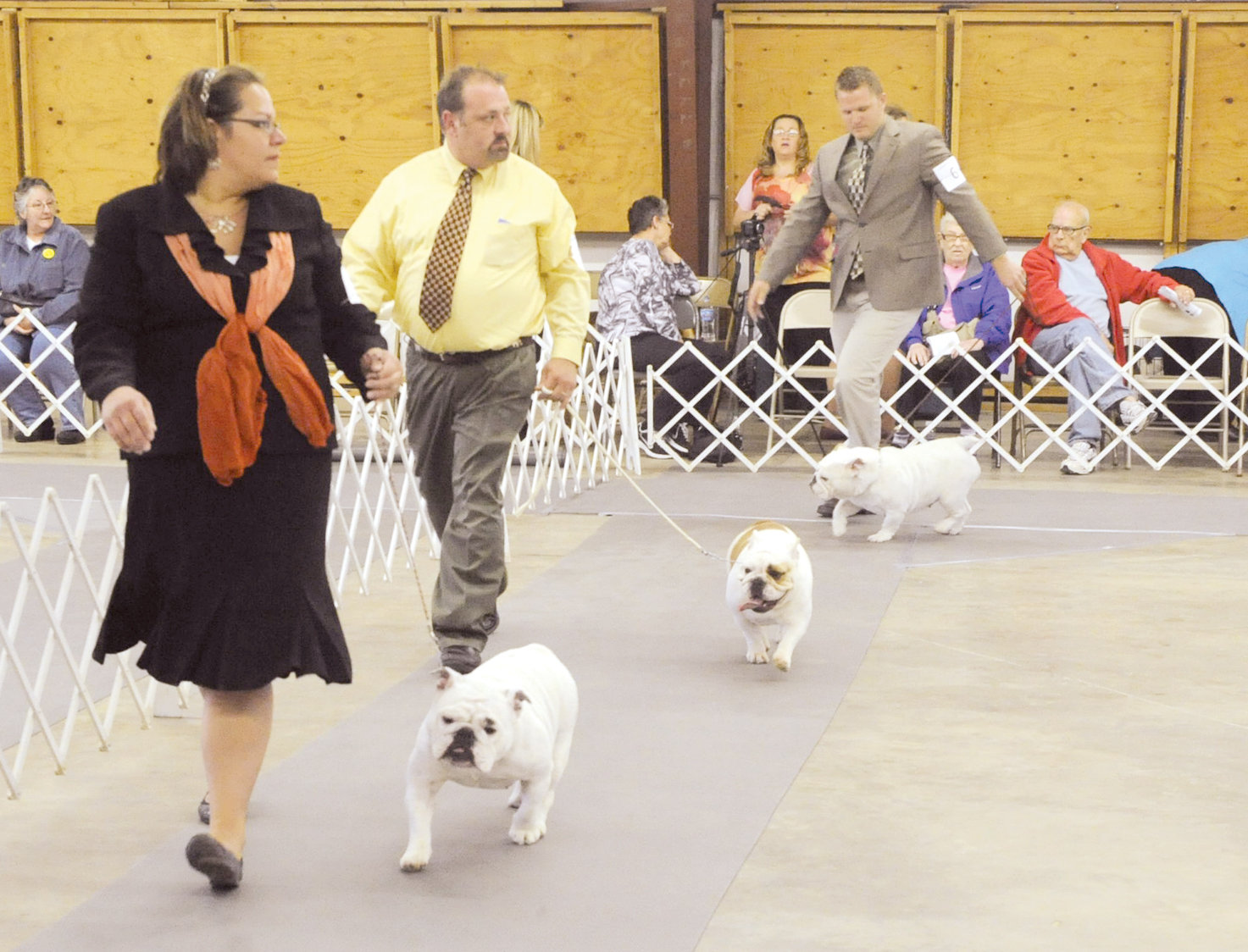 North Arkansas Kennel Club's AKC Dog Show | Harrison Daily