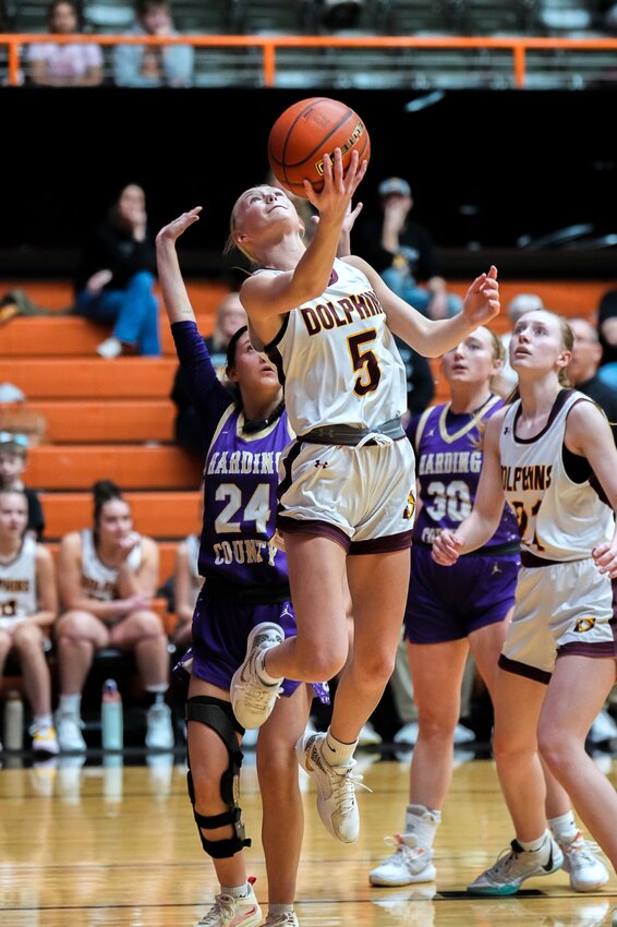 Deubrook Area's Kylee Johnson goes up for a reverse lay up during a state tournament game against Harding County on Saturday afternoon in Huron.