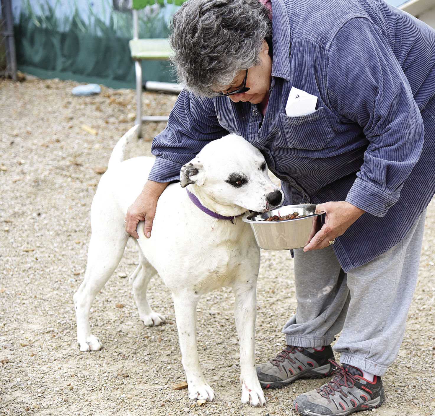 Stover Rescue where animals are family Sedalia Democrat