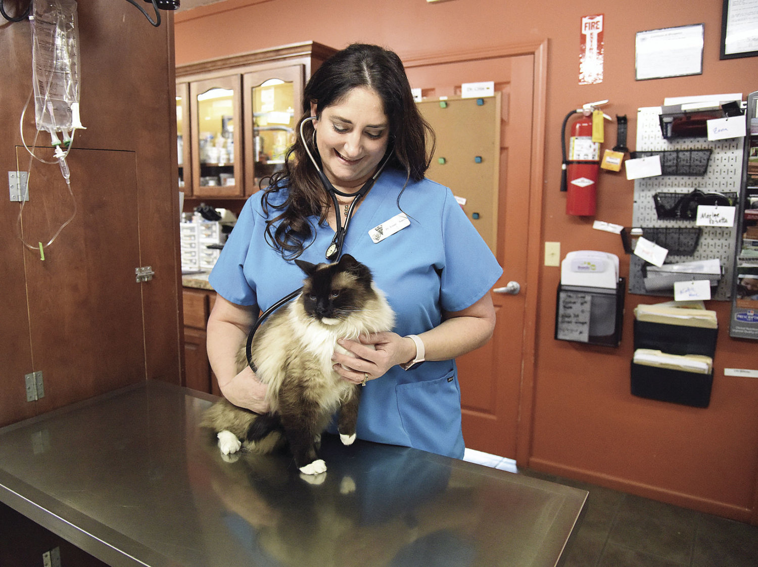 Advanced Pet Care celebrates 10 years Sedalia Democrat