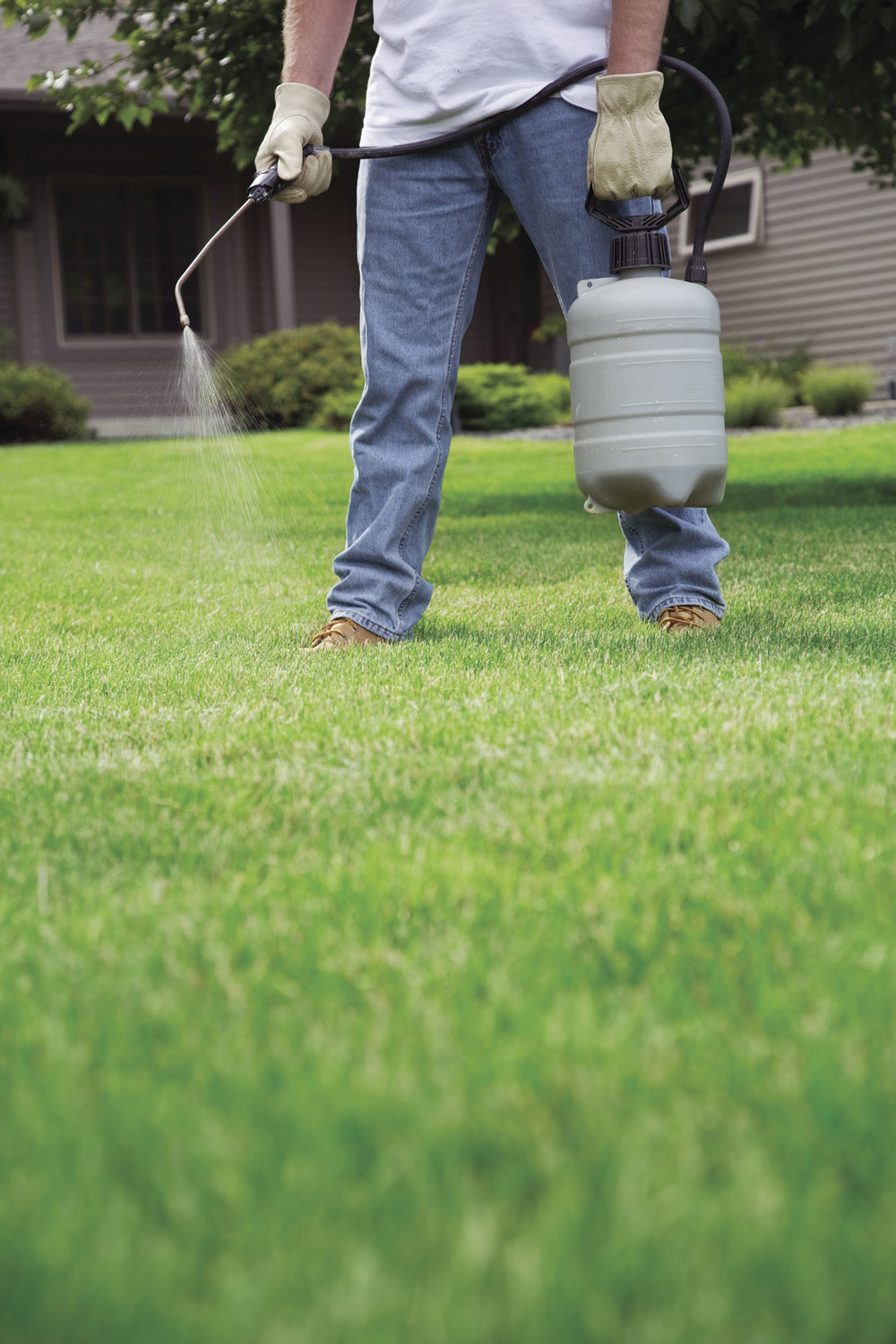 City spraying for mosquitos, flies Sedalia Democrat