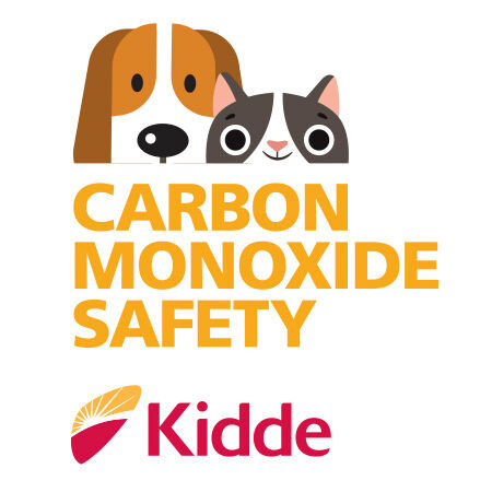 signs of carbon monoxide poisoning in dog