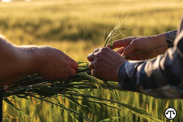 America’s farmers grow top ingredients to the cheers of beer drinkers.