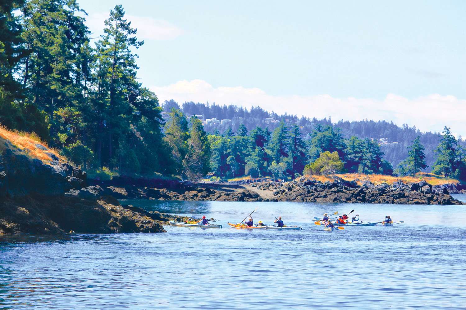 Lopez Island Waterside
